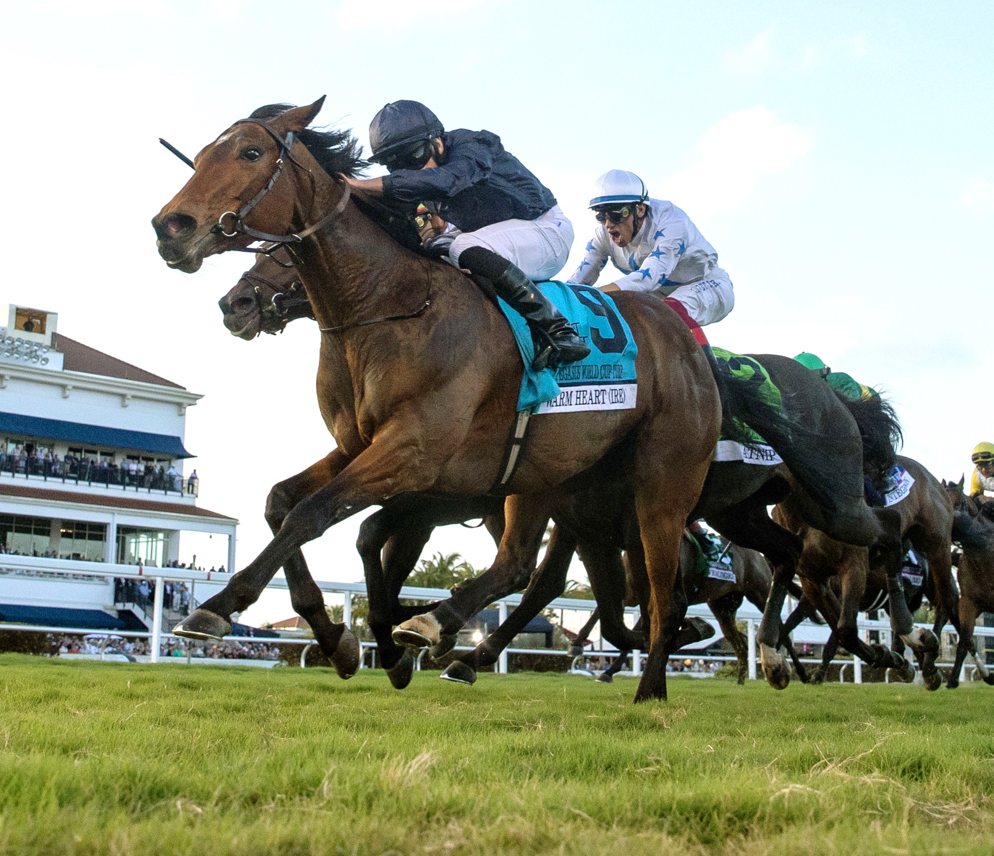 Justify has his first graded winner of 2024 could be sitting on